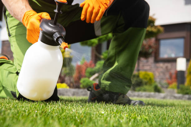 Best Flea Control Services  in La Follette, TN