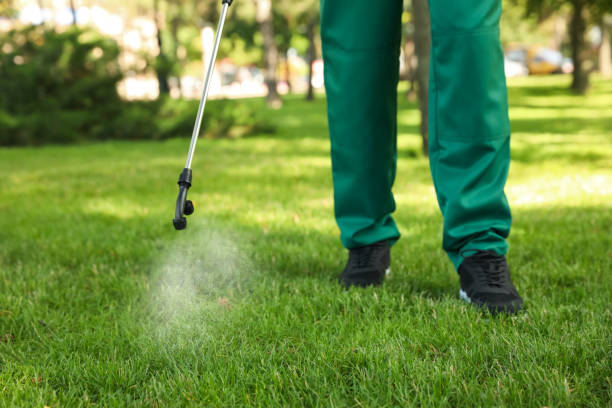  La Follette, TN Pest Control Pros