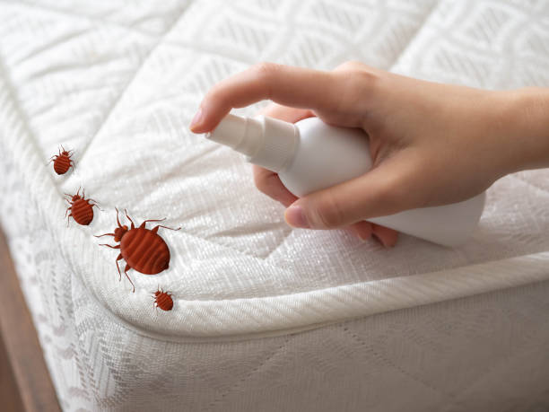 Best Pest Prevention Services  in La Follette, TN