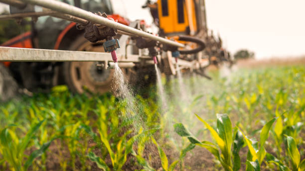 Best Pest Removal Services  in La Follette, TN